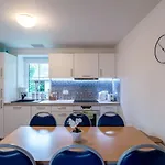 Hill 33 By Interhome Vakantiehuis Cista (Hradec Kralove)