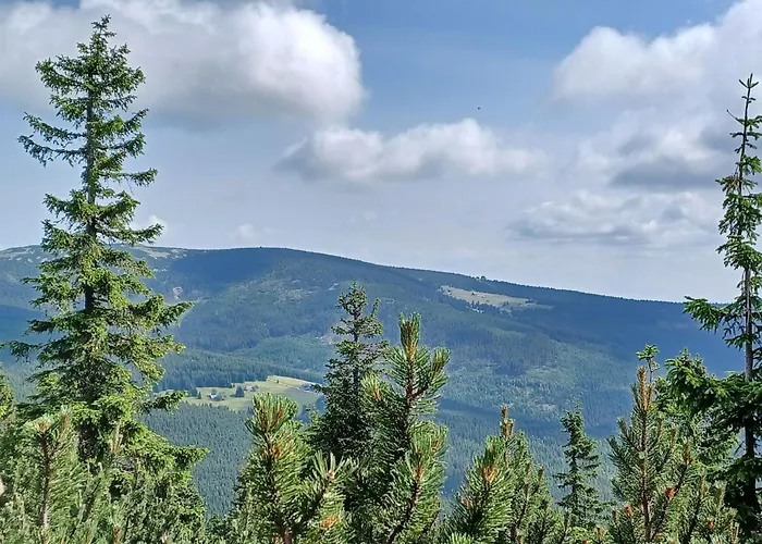 Nyaraló Hill 33 By Interhome *